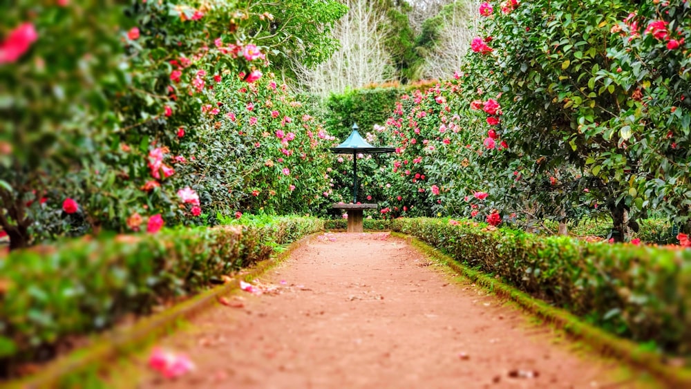 La Belleza Natural de Sopó